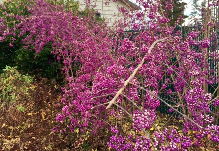 A7F75671-E167-4EB4-BAD3-7EBF514CB958